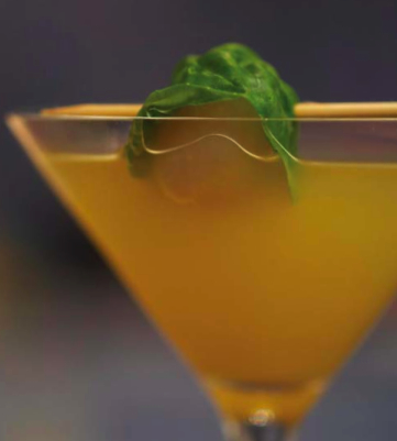 snapshot-2009-01-12-21-42-04